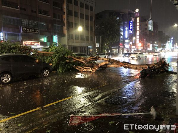 ▲高雄市苓雅區發生路樹倒塌             。（圖／記者吳奕靖翻攝）