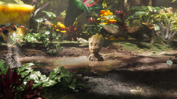 ▲▼《我是格魯特》（I am Groot）。（圖／Disney+提供）