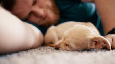 小型犬讓人更放心！　西班牙研究曝「男性與小狗合照較無威脅感」