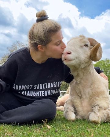 傷心羊羊變成幸福羊羊。（圖／翻攝自Uncle Neil’s Home, A Farm Sanctuary）