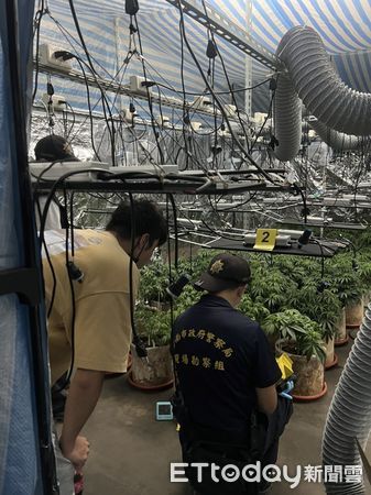 ▲▼台南警方破獲透天厝溫室栽種大麻。（圖／記者林悅翻攝）