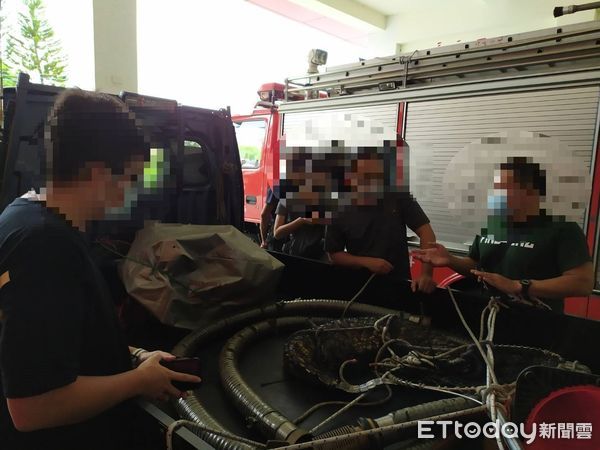 ▲萬丹消防分隊在萬丹鄉泉興路旁水溝逮獲一隻鱷魚             。（圖／記者陳崑福翻攝，下同）