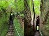 新竹秘境！34米「巨石一線天」超壯觀