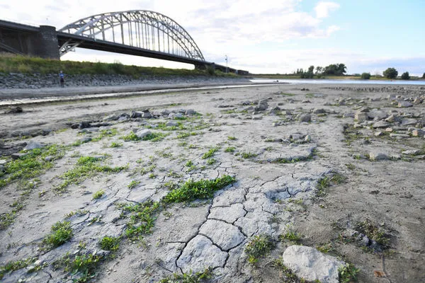 ▲▼荷蘭瓦爾河水位降低，甚至能見到裸露的河床、河床上的腳踏車。（圖／路透）