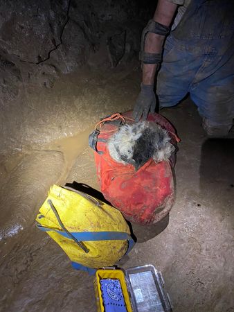 狗狗困洞穴2個月獲救。（圖／翻攝自Rick Haley臉書）