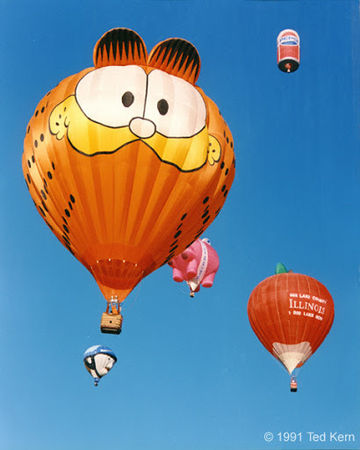 ▲▼2022臺中熱氣球嘉年華－加菲貓熱氣球。（圖／臺中市石岡區公所提供）