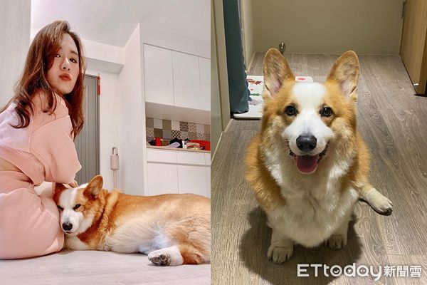 ▲▼愛犬逝世1年…媽半夜講電話「聽見狗叫聲」　思念泛淚：是祢嗎？（圖／臉書粉專「咕嚕咕嚕 - 柯基犬」提供）