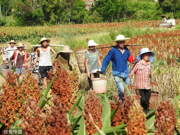 ▲四川,達州,成都。（圖／CFP）