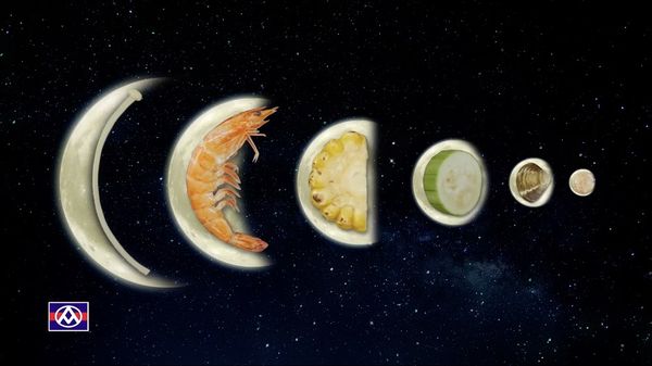 ▲▼全聯今年提出「月光魔法讓食材更美味」的廣告主題，門市內的PX TV上也將輪番播放賞月影片。（圖／業者提供）
