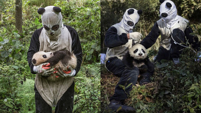 鍵盤大檸檬