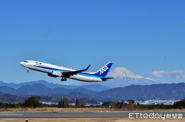 ▲ANA松山-羽田航線10/4日起增為每周5班。（圖／ANA提供）