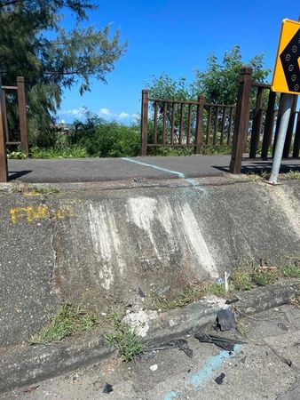 ▲▼台南一輛特斯拉失速飛越水泥護欄倒在防風林。（圖／翻攝自Facebook／Andy老爹）