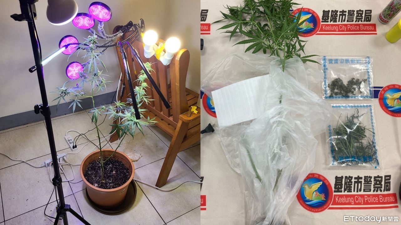 快訊／竹科大廠高階主管「在家種大麻」　用心研究每天強光照射 | ETtoday社會新聞 | ETtoday新聞雲