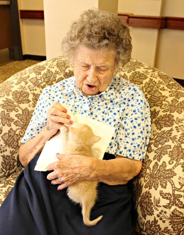 ▲▼失智老人照顧幼貓，變盡責鏟屎官。（圖／翻攝自Facebook／Pima Animal Care Center）