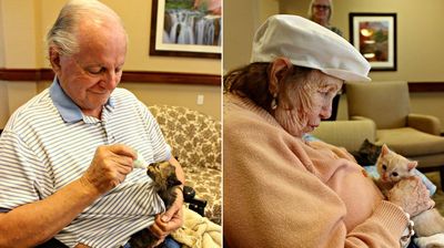 護理中心讓失智長輩照顧小奶貓！　爺爺奶奶雖喪失記憶「卻沒忘記愛的能力」