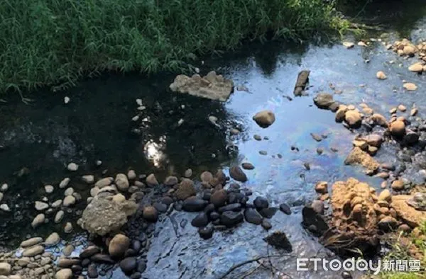 ▲某染整廠因油污外漏污染觀音溪，連溪石也被染黑。（圖／桃園市政府環保局提供）