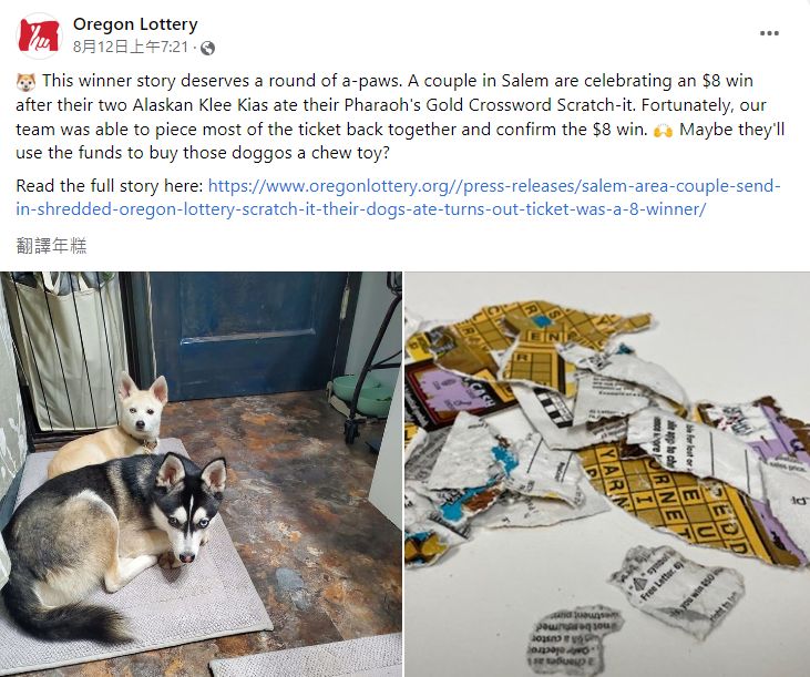 ▲▼彩券被愛犬咬爛。（圖／翻攝自Facebook／Oregon Lottery）