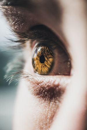 乾眼症,眼睛,雙眼,靈魂之窗,護眼（圖／取自免費圖庫pexels）