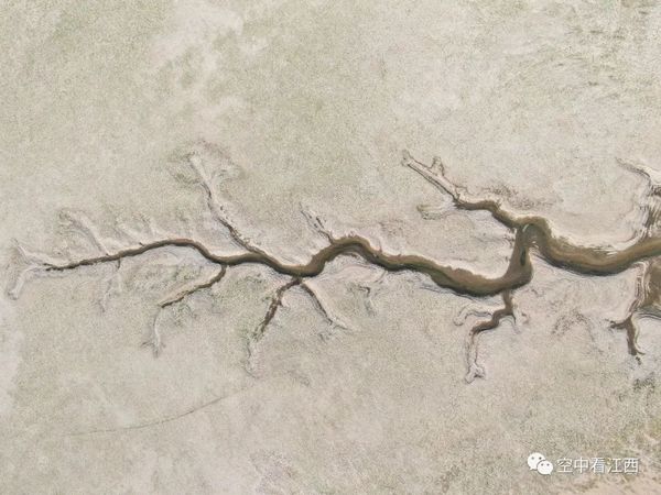 ▲▼ 江西鄱陽湖出現熱奇景、千年石島「落星墩」完全裸露            。（圖／翻攝 微信 空中看江西）