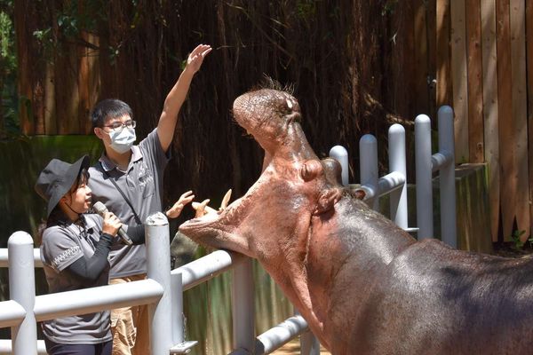 ▲動物園舉辦體驗營、生命教育課程，深受大小朋友喜愛。（圖／新竹市政府提供）