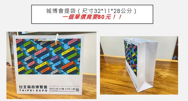 ▲▼王欣儀批城博會文宣品印刷竟比市價「貴百萬」。（圖／王欣儀競辦提供）