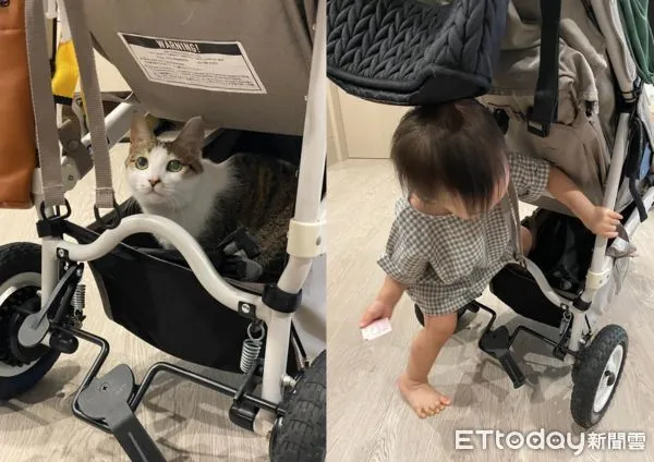 ▲貓咪海棠：嬰兒車正確使用方式。（圖／網友Chunting Chang授權提供）