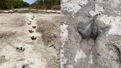 美國大乾旱河流都乾涸！　恐龍公園卻意外在河底發現「1.13億年恐龍足跡」