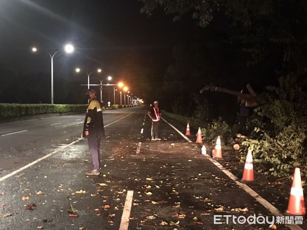 ▲行道樹倒塌於機車道，樹梢部分亦影響外側車道，警員於現場擺設交通錐及將巡邏車爆閃燈開啟警示，冒雨堅守以指揮棒提醒用路人繞開路樹倒塌位置。（圖／記者蔡佩旻翻攝）