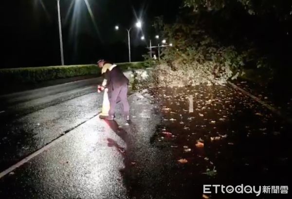 ▲行道樹倒塌於機車道，樹梢部分亦影響外側車道，警員於現場擺設交通錐及將巡邏車爆閃燈開啟警示，冒雨堅守以指揮棒提醒用路人繞開路樹倒塌位置。（圖／記者蔡佩旻翻攝）