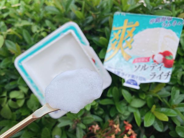 ▲▼7-11獨家開賣「LOTTE爽冰淇淋－鹽味荔枝」。（圖／7-11提供）