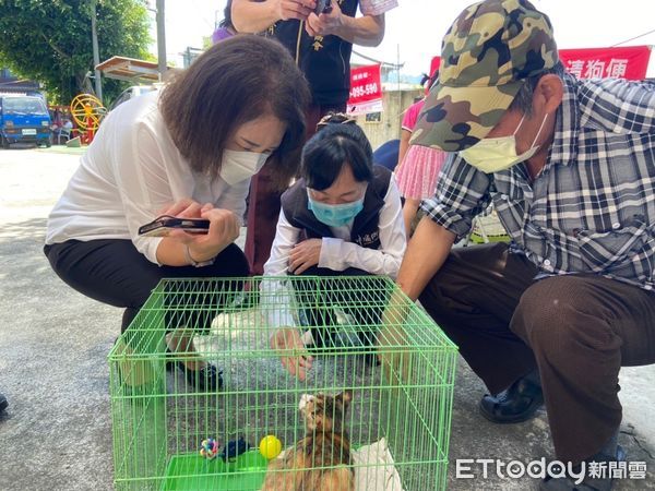 ▲▼   鼬獾如喪屍追咬犬隻，防範狂犬病全嘉總動員9月開跑 。（圖／嘉義縣政府提供）