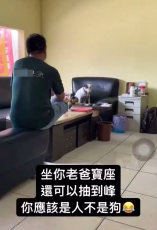 ▲▼牛頭㹴坐沙發「被飼主逼抽煙」　飛機耳想逃遭壓制...30秒影片曝光。（圖／翻攝自Instagram）