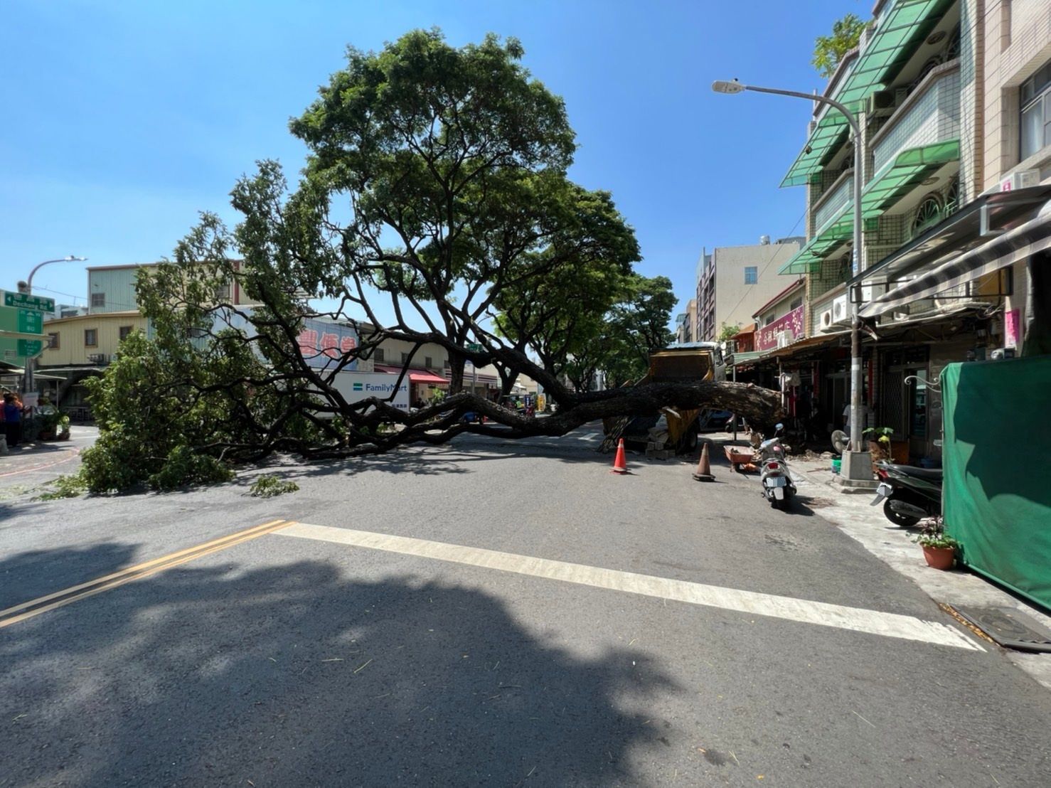 ▲▼高雄4層樓高大樹突倒塌！　大貨車超衰被壓中…車頭往上翹。（圖／讀者提供）