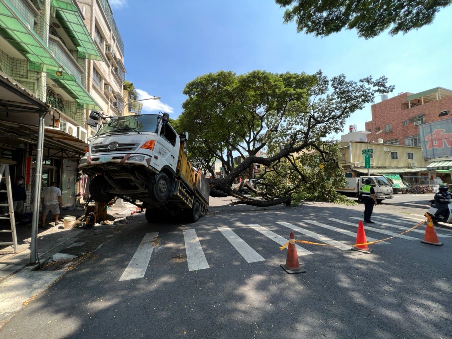 ▲▼高雄4層樓高大樹突倒塌！　大貨車超衰被壓中…車頭往上翹。（圖／讀者提供）