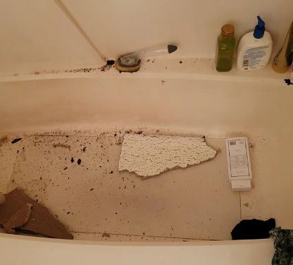 ▲▼浴室天花板漏水，碎片直接砸落，房東堅持不修。（圖／翻攝reddit）
