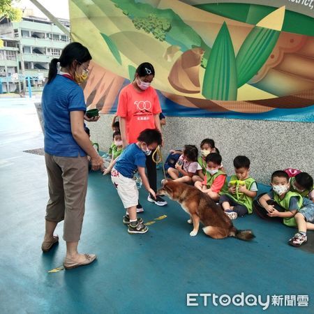 ▲▼  全台第一隻高學歷「狗醫生」。（圖／記者戴上容翻攝）