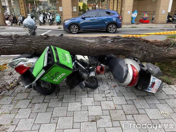 ▲▼彰化1日傳出路樹被強風吹倒，壓毀3輛機車。（圖／彰化消防提供）