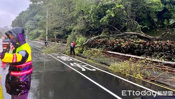 ▲基隆狂風雨猛襲！自強隧道出口路樹倒塌 女騎士碰撞慘摔。（圖／記者郭世賢翻攝）