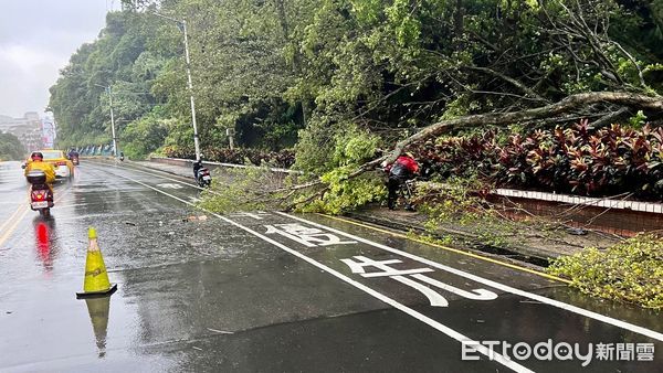 ▲基隆狂風雨猛襲！自強隧道出口路樹倒塌 女騎士碰撞慘摔。（圖／記者郭世賢翻攝）