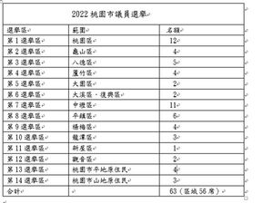 2022桃園市議員選舉131人登記參選　角逐63席次