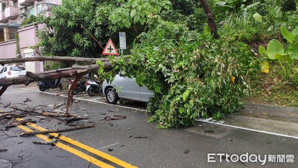 ▲▼ 車子遭路樹砸中 。（圖／記者戴上容翻攝）