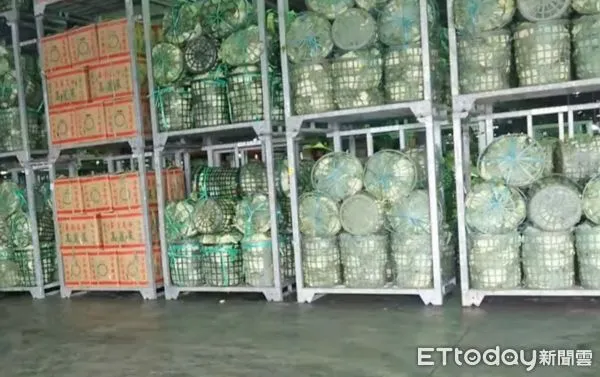 ▲西螺果菜市場今日蔬菜總交易量約770公噸，總平均價每公斤33元，總平均價漲幅約11%；高麗菜今日總均價每公斤23.7元，比前一日多2.5元。（圖／記者蔡佩旻翻攝）