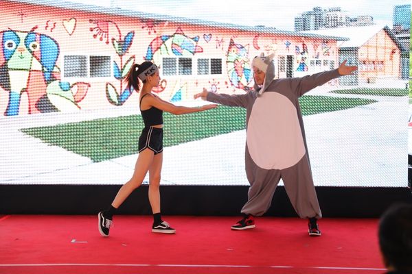 「2022臺北動物保護月」開跑　帶領市民一同走讀動物美好旅程（圖／業者提供）