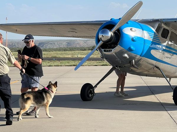 ▲▼ 走失5年愛犬「跨越965公里團圓」　知道要回家飛機上開心傻笑。（圖／翻攝自Stephanie Moore Malmstrom臉書）