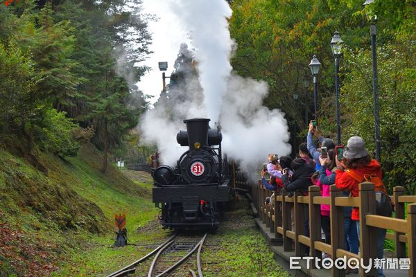 ▲▼ 林鐵《楓雲季會》主題列車 阿里山年度限定 。（圖／蒸汽火車風采(黃源明拍攝/林鐵及文資處提供)）