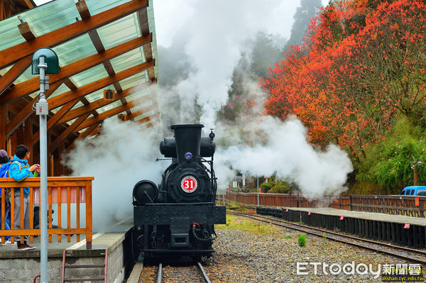 ▲▼ 林鐵《楓雲季會》主題列車 阿里山年度限定 。（圖／蒸汽火車風采(黃源明拍攝/林鐵及文資處提供)）