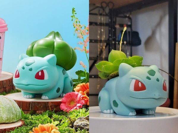 冰淇淋店推出 寶可夢收納盒 網拿 妙蛙種子 當盆栽意外q炸 Et Fashion Ettoday新聞雲