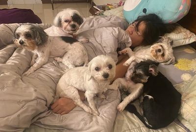 周末怎麼和寵物度過？　她曬躺床照「5毛球秒包圍」網笑：我也是