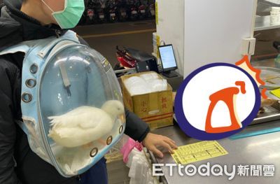 寵物鴨被爸帶去店裡震撼教育 牠低頭沉思「眼神迴避」:鴨力山大