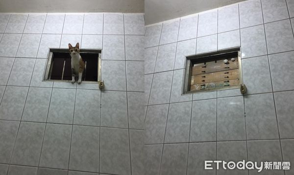 [新聞] 上廁所被嚇到飆髒話！祖孫展開攻防戰